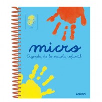 Agendas escolares. Cuadernos para profesores. Diccionarios