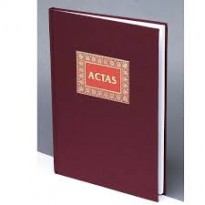 Libros de contabilidad, oficiales