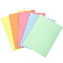 PQ100 subcarpetas A4 colores pastel Exacompta