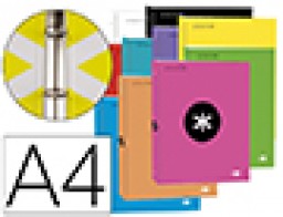 KA50 Carpeta Liderpapel Antartik A-4 4 anillas 25 mm. Color