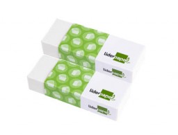 ER01 Goma de borrar Liderpapel plástica